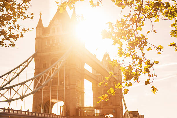 istock Tower bridge at sunset in London 187089894