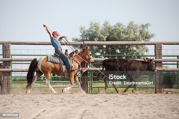 Foto de Jovem Equitação Cavalo Praticando Rodeo Roping Um Novilho e mais fotos de stock de 10-11 Anos