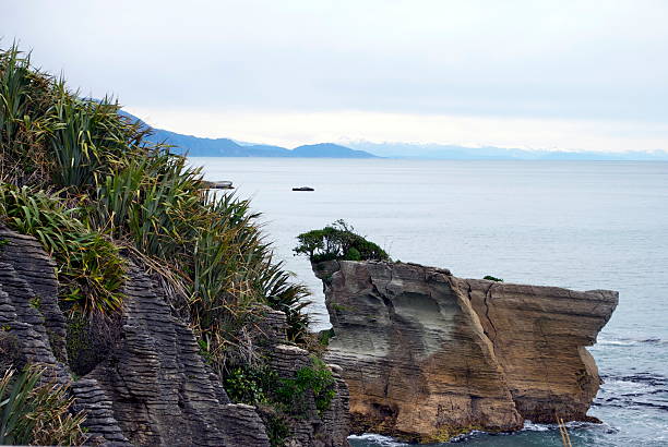 pancake rocks, punakaiki, west coast, nuova zelanda - powder blue viewpoint south island new zealand new zealand foto e immagini stock