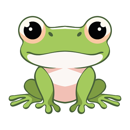 young frog sitting on white background icon