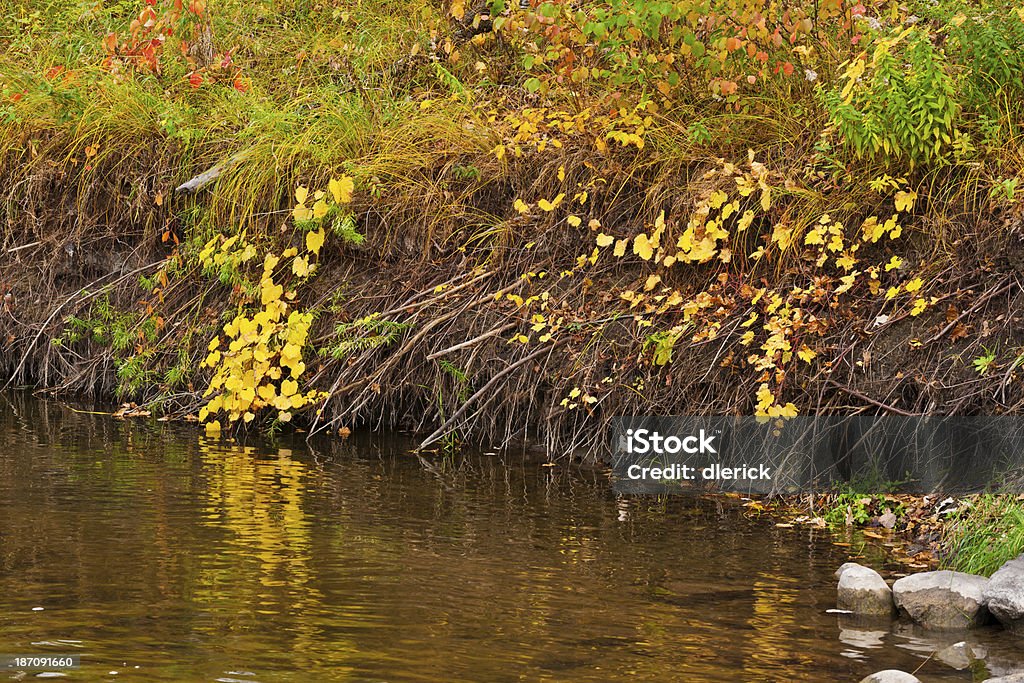 Banco do rio, em cores de outono - Foto de stock de Amarelo royalty-free