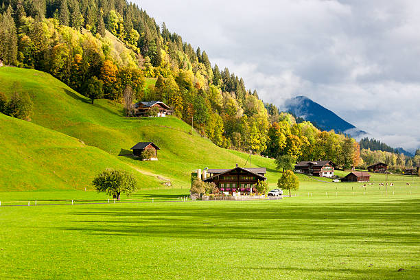 осенний пейзаж в бернский оберланд швейцария - wildstrubel стоковые фото и изображения