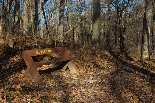 Late Autumn day landscape of a wooden bench displaying the words \