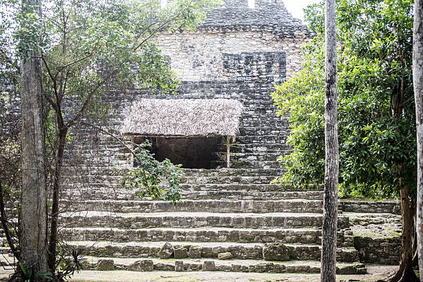 rovine di chacchoben in costa maya - chacchoben foto e immagini stock