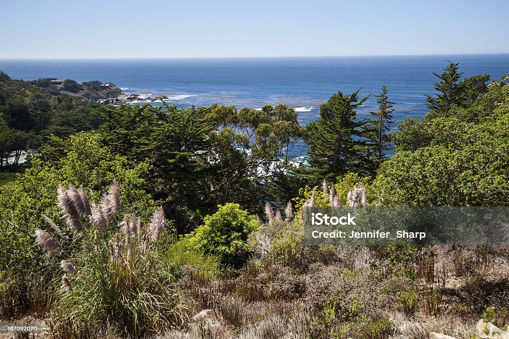 Penhasco com vista para o Big Sur, Califórnia - Foto de stock de Ajardinado royalty-free