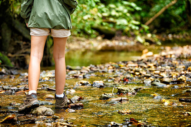 istock Young woman hiking on a tropical rainforest river, 187092150