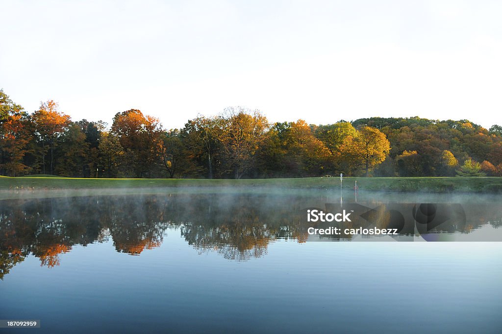 reflection of trees reflex nature landscape with its beautiful trees on the lake in the morning autumn Autumn Stock Photo