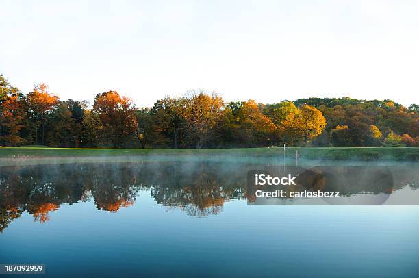 Reflection Of Trees Stock Photo - Download Image Now - Autumn, Beauty In Nature, Day