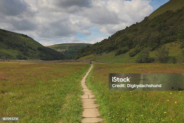 Footpath Near Muker In Upper Swaledale Yorkshire Stock Photo - Download Image Now - Agricultural Field, Footpath, Hill