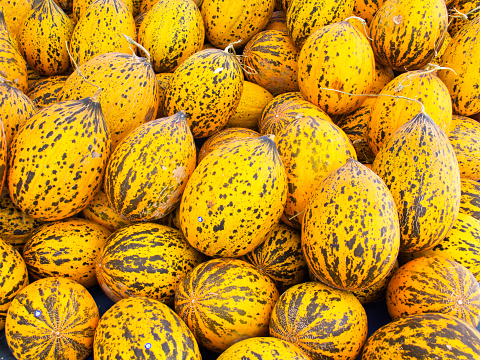 Turkish yellow melons stacked in the market place