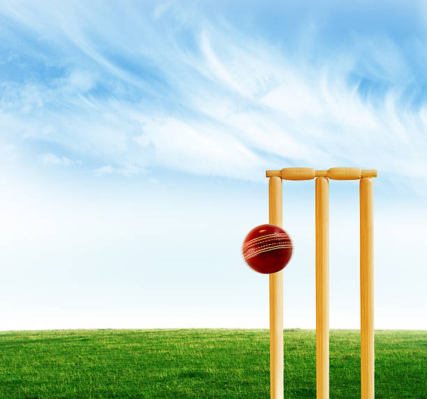 istock Ball enters the goal during a cricket match 187093496