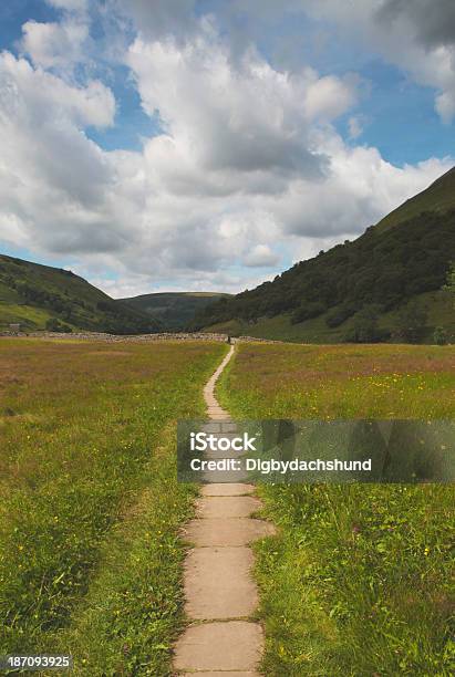 Gehweg In Der Nähe Von Muker In Upper Swaledale Yorkshire Stockfoto und mehr Bilder von Anhöhe