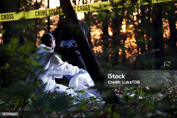 Crime Scene Investigation Stock Photo - Download Image Now - Activity, Adult, Adults Only