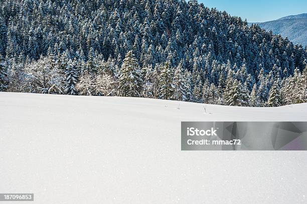 Paesaggio Invernale Con La Neve E Gli Alberi - Fotografie stock e altre immagini di Albero - Albero, Albero sempreverde, Alpi