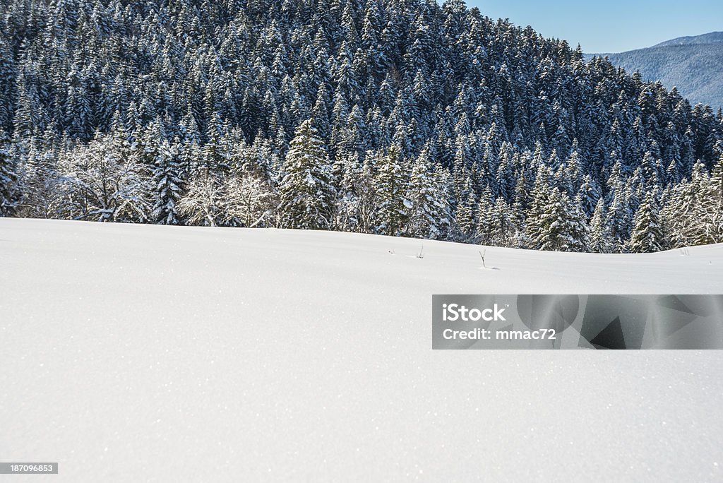 Paisagem do inverno com neve e árvores - Foto de stock de Ajardinado royalty-free