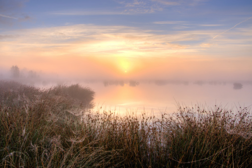 Calm and great misty sunset over swamp in Drenthe, Netherlands