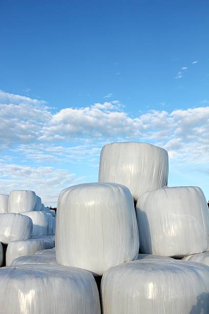 Stacked Hay Bales