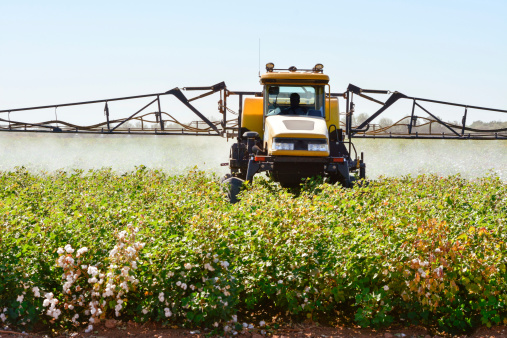 Spraying Pesticides in Cotton Field. Arizona, USA.