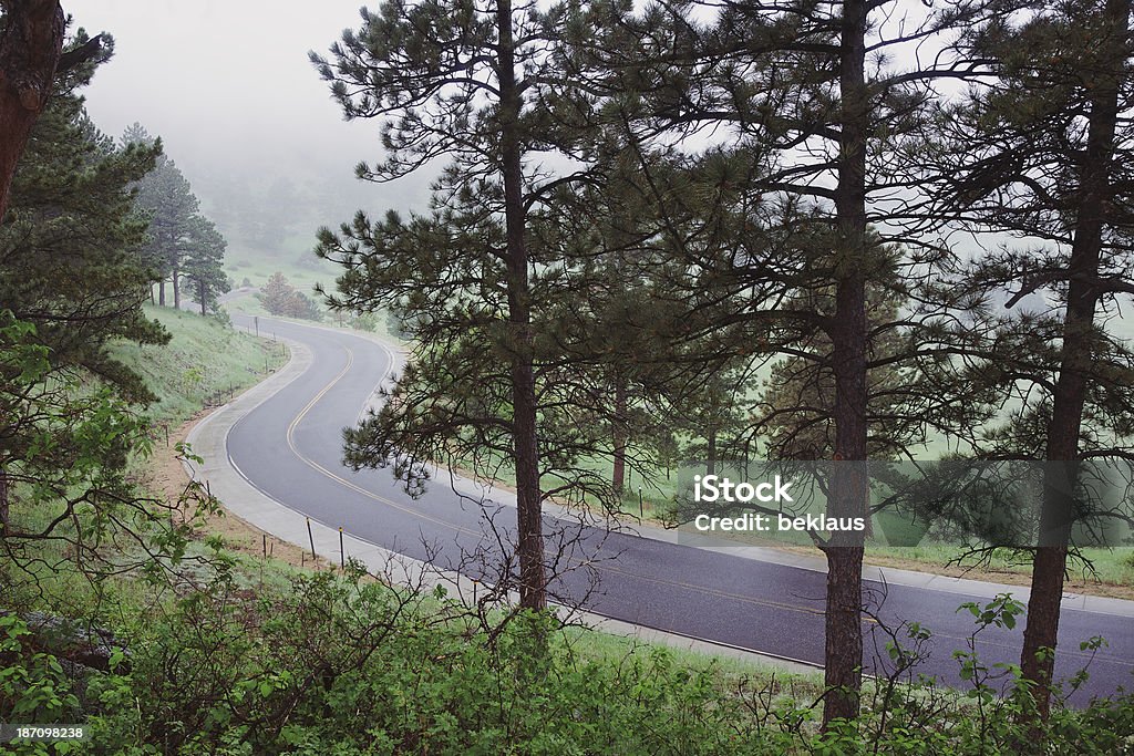 Kurvenreiche Wet Road in Mountains - Lizenzfrei Asphalt Stock-Foto