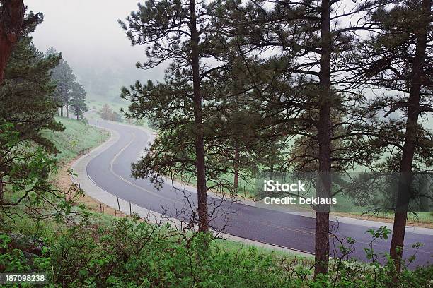 Kurvenreiche Wet Road In Mountains Stockfoto und mehr Bilder von Asphalt - Asphalt, Baum, Baumkrone