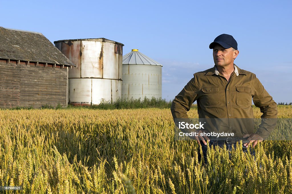 Farmer 필드 - 로열티 프리 걱정하는 스톡 사진