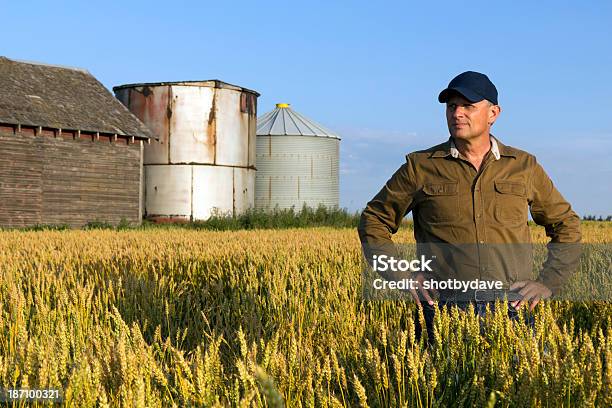 Farmer 필드 걱정하는에 대한 스톡 사진 및 기타 이미지 - 걱정하는, 건물 외관, 건축물