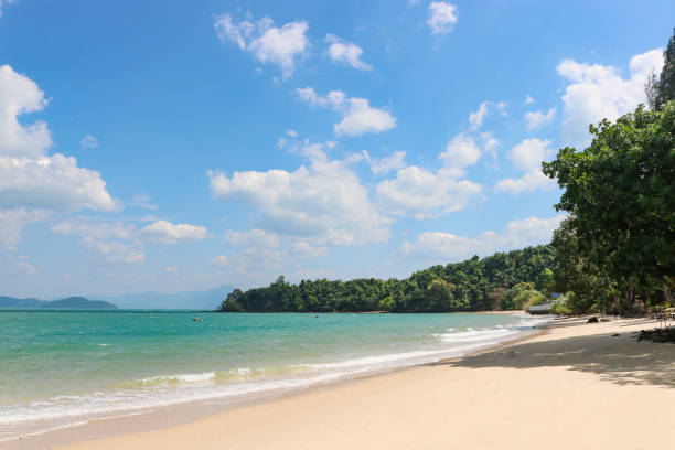istock An ideal sandy tropical beach and clear turquoise sea, time for rest and relaxation. 1871003368