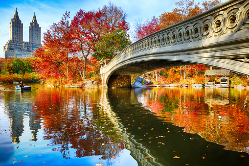 Central Park en otoño photo