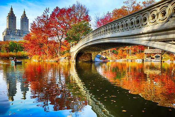 Central Park at autumn stock photo