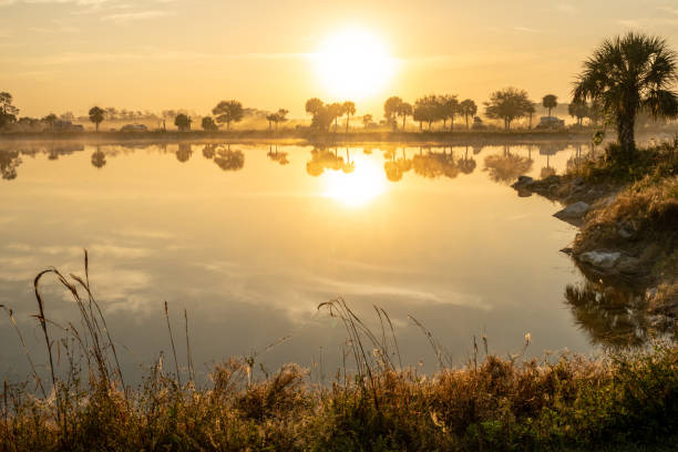 istock Bright Sun Rising Over Lake In South Florida 1871019188