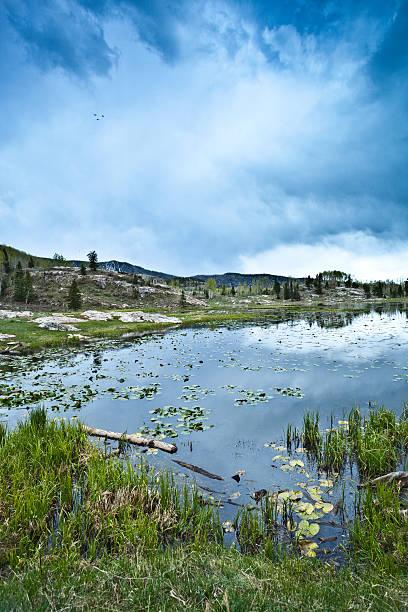 rocky mountain lake and sky a lake reflects the moody sky above with mountains on the horizon ridge with trees and grasses surrounding. such beautiful nature scenery can be found in the san juan range of the colorado, rocky mountains. vertical wide angle composition taken near durango, colorado. lily lake rocky mountains colorado stock pictures, royalty-free photos & images
