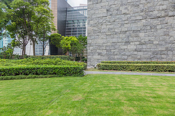 istock green city park 187102536