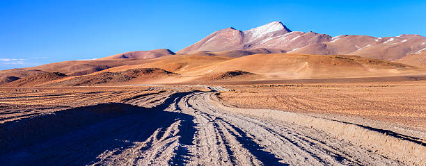 istock Panoramic view of Bolivian altiplano 187102567