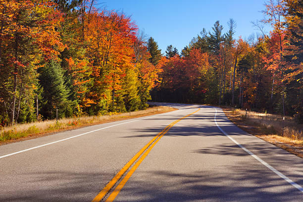 istock Road through fall foliage, White Mountains National Forest, NH, USA 187102626