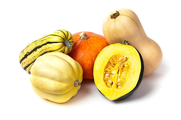 Variety of Autumn Squashes on White Background A variety of fall squashes, including Acorn,butternut, Amber Cup, and Carnival squash, isolated on white background. squash vegetable stock pictures, royalty-free photos & images