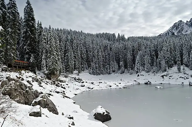 Carezza Lake (Karersee) surrounded by pine trees covered with snow in winter in the Dolomites in Italy.