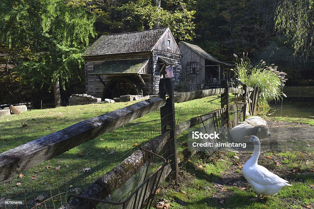 Condado de Bucks Cuttalossa Farm - Foto de stock de Animal libre de derechos