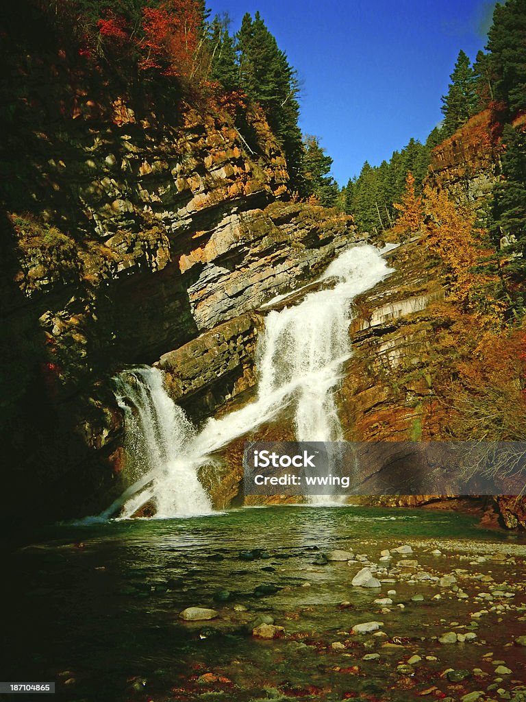 Waterton Lake National Park Waterfall - Zbiór zdjęć royalty-free (Alberta)