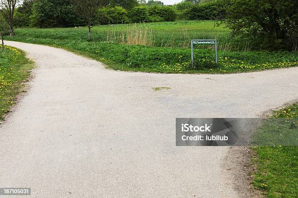 Foto de Que Maneira De Ir Cruzamento Mesa No Parque e mais fotos de stock de Arbusto - Arbusto, Bosque - Floresta, Cascalho