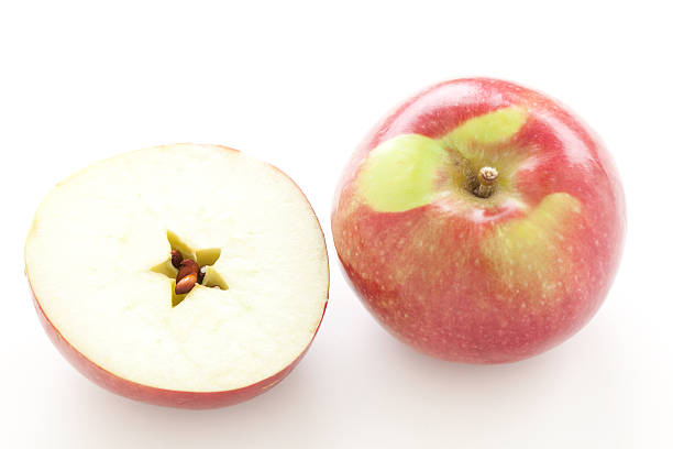 vermelho maçã mcintosh - macintosh apple imagens e fotografias de stock