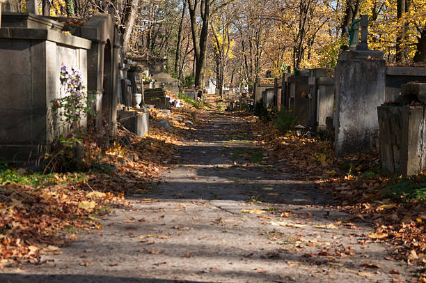 istock An old entombment on a cemetery 187105342