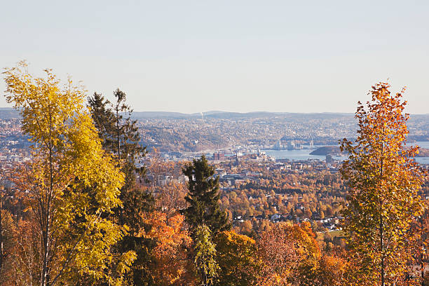 istock View of Oslo from Holmenkollen 187105416
