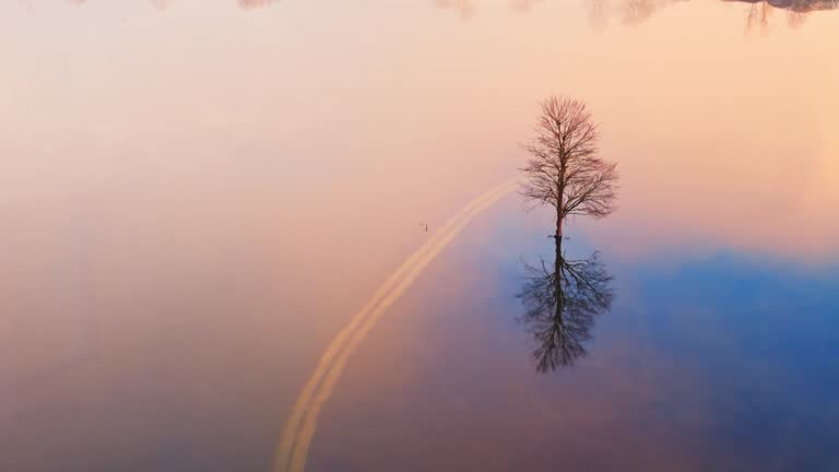 AERIAL Drone Shot of Single Bare Tree and Rural Road Surrounded by Floodwaters in Foggy Weather at Sunrise