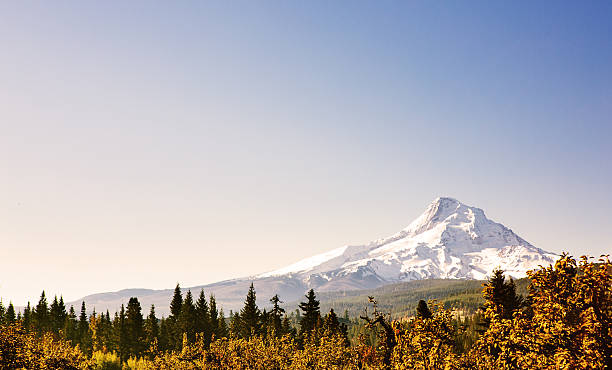 istock Autumn View of Mount Hood, Oregon State 187106344