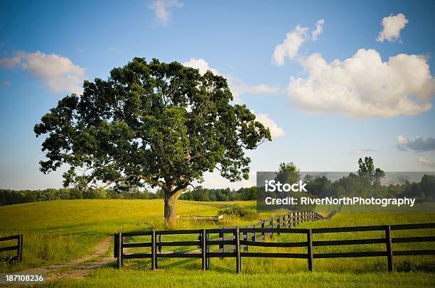 Paisagem De Michigan - Fotografias de stock e mais imagens de Centro-oeste dos Estados Unidos - Centro-oeste dos Estados Unidos, Quinta, Estrada em Terra Batida