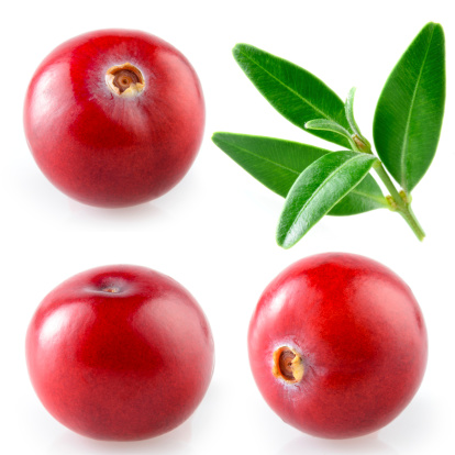 Cranberry con hoja.  Colección sobre fondo blanco photo