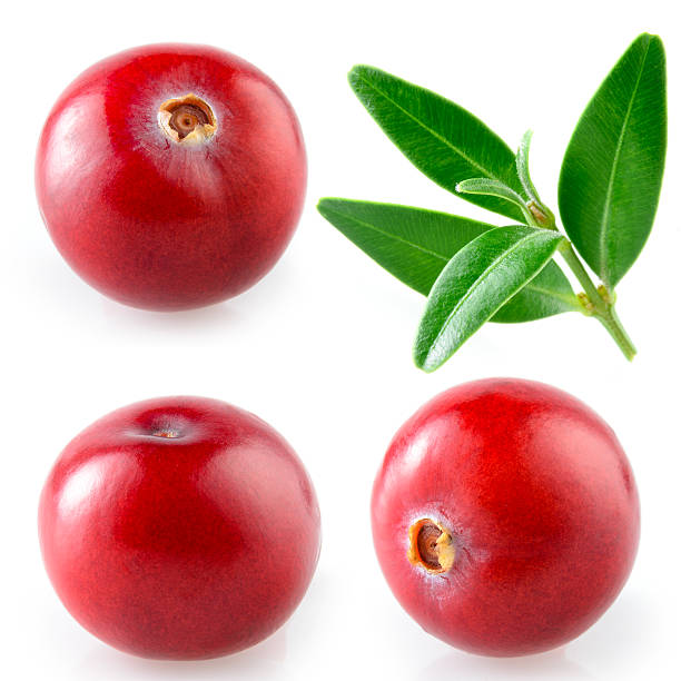 cranberry avec feuille.  collection sur fond blanc - canneberge photos et images de collection