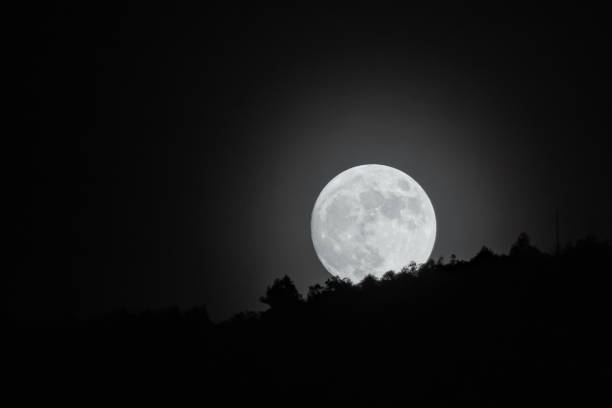 istock Full moon rising above horizon. Distant tree line along slope of the bill is seen. Bright white moon with dark background 1871082607