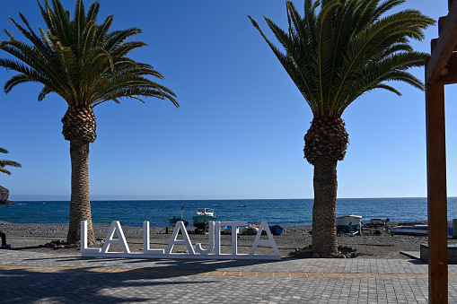 Perfect palm trees against a beautiful blue sky