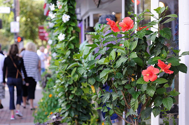 Street in New Hope, Pennsylvania, USA